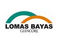 LOMAS BAYAS